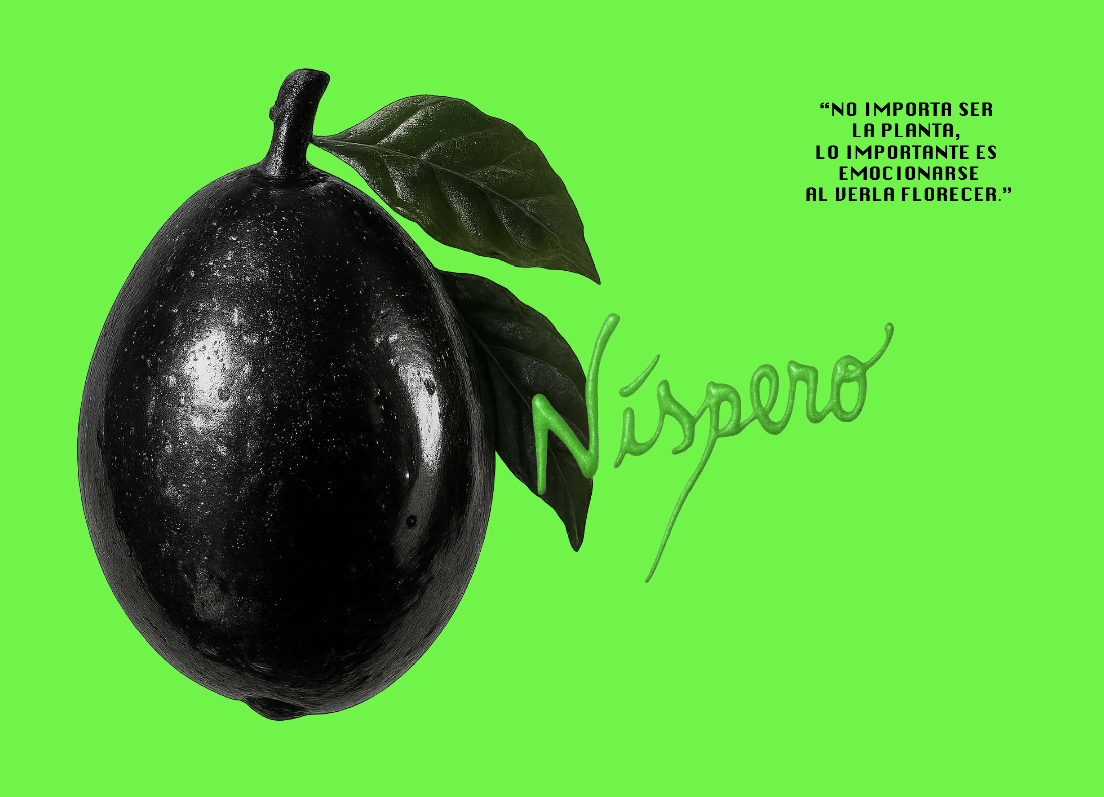 Níspero, número 1, página 21